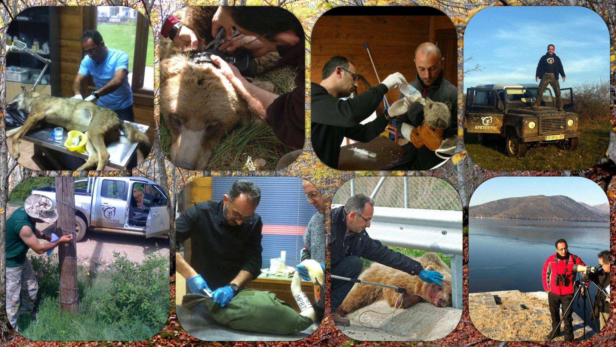 Podcast. Περιβάλλον και οικονομία στις Πρέσπες – Μπορούν να συμπλεύσουν;