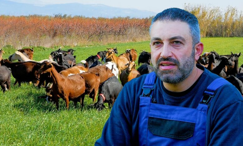 Αδριανός κτηνοτρόφος Κόρινθος