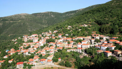 Ανδρίτσαινα