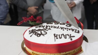 Πίτα Πανναυπλιακού (2)