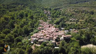 Πλάτανος Κυνουρίας (1)