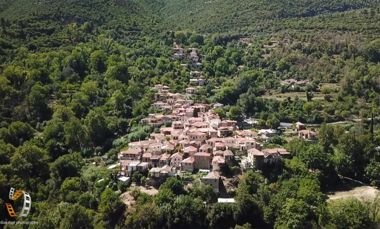 Πλάτανος Κυνουρίας (1)