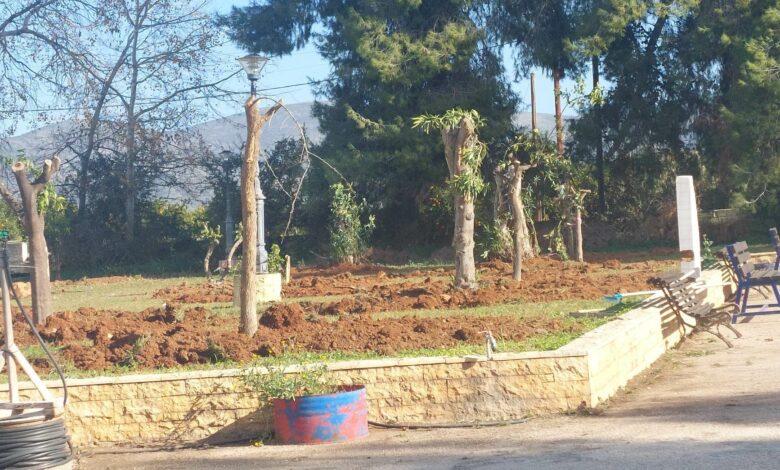 Πλατανίτι (2)