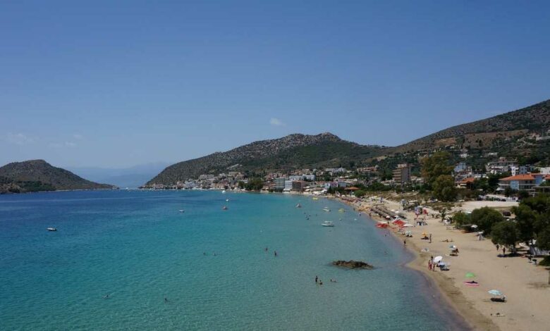 Τολό