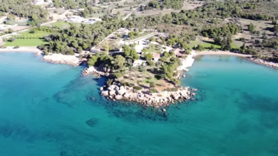 Χηνίτσα Πόρτο Χέλι