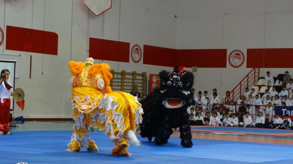 Το choy lee fut στην Καρναβαλική Παρέλαση