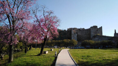 Κάστρο Πάτρας