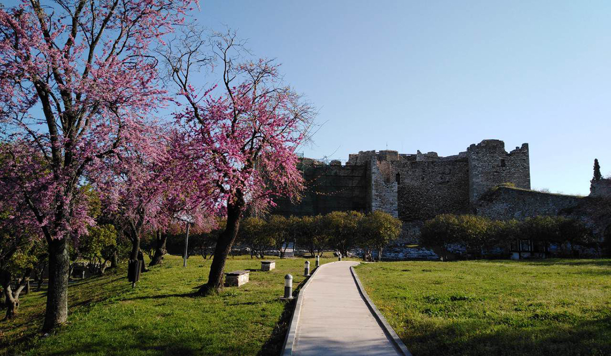 Έβγαζαν τα μάτια τους κοντά σε γνωστό κάστρο της Πελοποννήσου ενώ οι γονείς πήγαιναν τα παιδάκια στο σχολείο