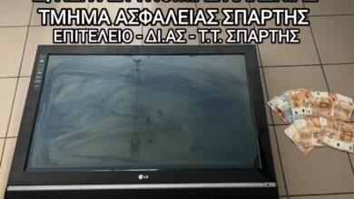 Λακωνία σύλληψη