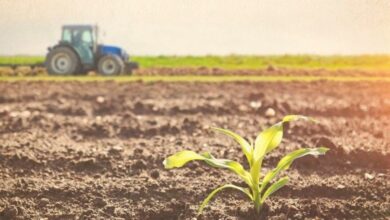 «Τοπική γεωργική παραγωγή προβλήματα και προοπτικές»