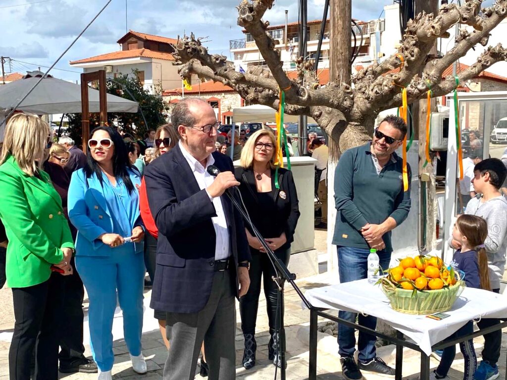 Γιορτή μανταρινιού Δρέπανο (3)