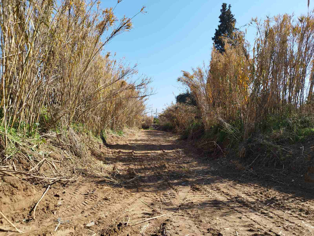 Καθαρισμοί ρεμάτων Αργολίδα (3)