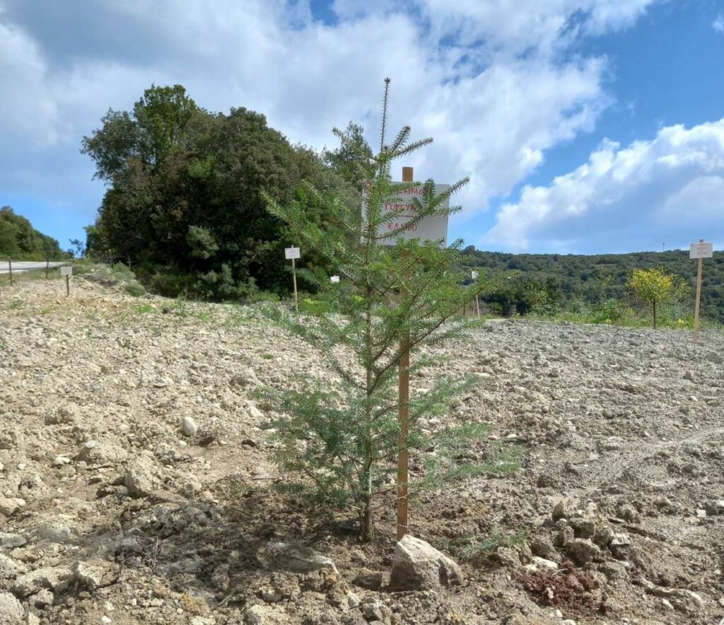 1ο Πάρκο Ελληνικής Επανάστασης στην Ελλάδα 2