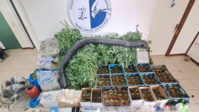 28.3.2023 messinia narkwtika sillipseis