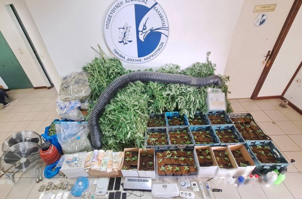 Μεσσηνία: Κατασχέθηκαν πάνω από 28 κιλά κάνναβης και 270 φυτά κάνναβης