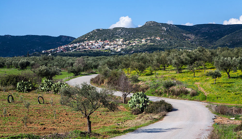 Βελιές Λακωνίας