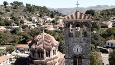 Βλαχοκερασιά