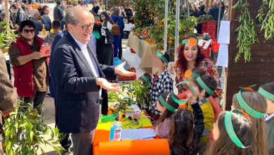 Γιορτή μανταρινιού Δρέπανο (2)