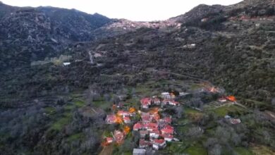 Παλαιοχώρι Γορτυνίας