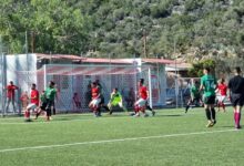 Φοίνικας Παναργειακός