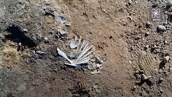 Ο απίστευτος χωματόδρομος στη Λακωνία που κρύβει ένα μυστικό εκατομμυρίων ετών