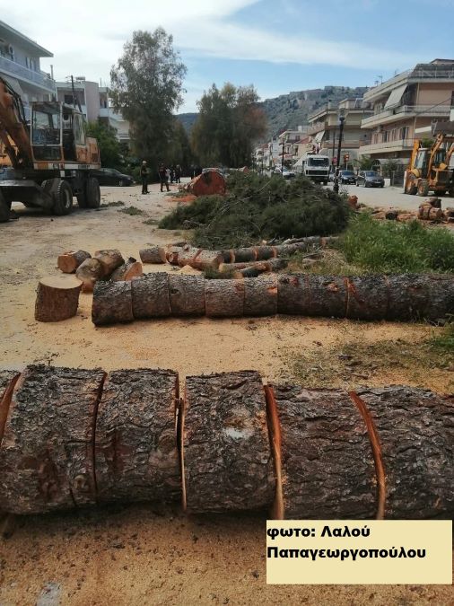 Κοπή δένδρων στην οδό Αιγίου 1