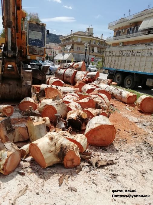 Κοπή δένδρων στην οδό Αιγίου 2