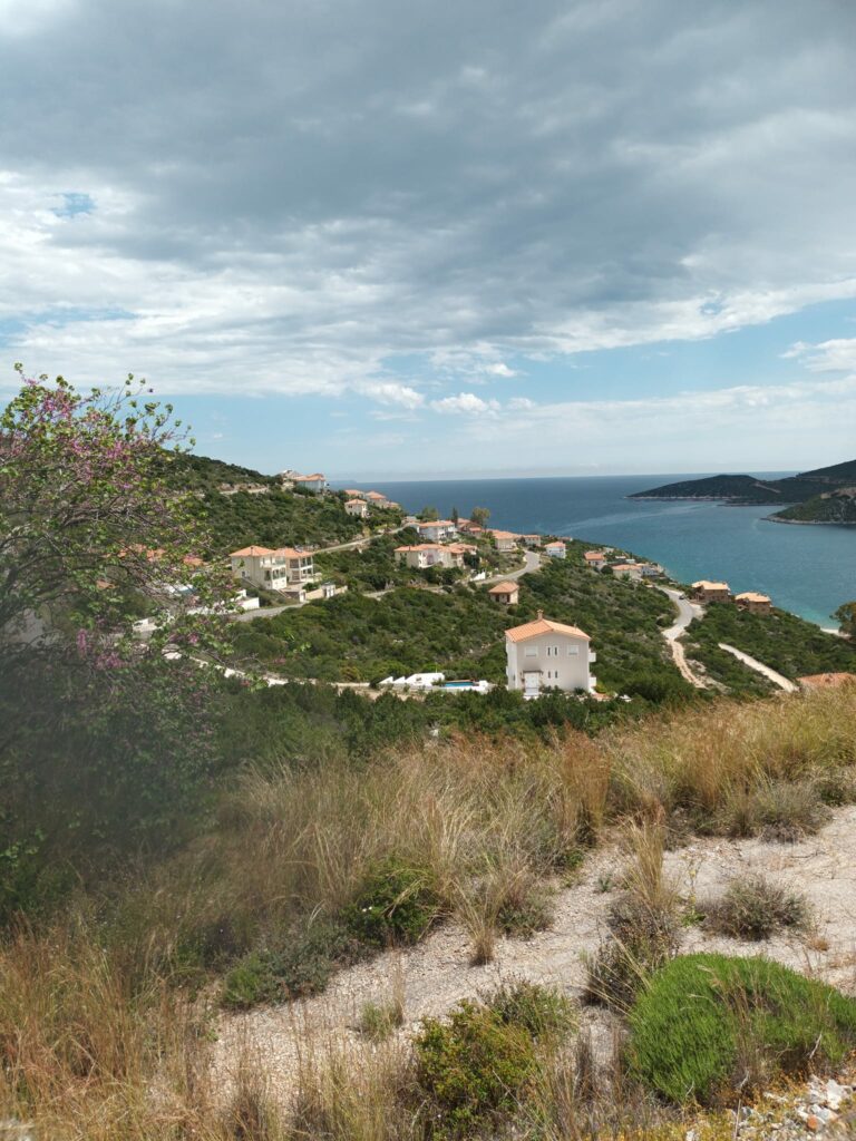 Παναρκαδική ομοσπονδία Ελλάδας (3)