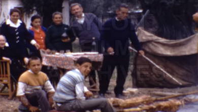 Διακοπτό 1971