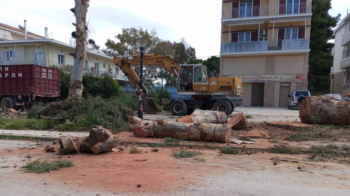 Ναύπλιο: Απαγορεύεται η περαιτέρω κοπή των δένδρων στην Αιγίου