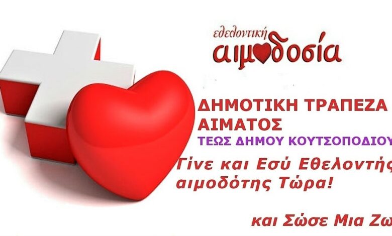 aimodosia koytsopodi