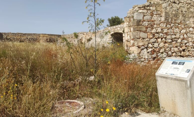 Ναύπλιο χορτάρια Ακροναυπλία (1)