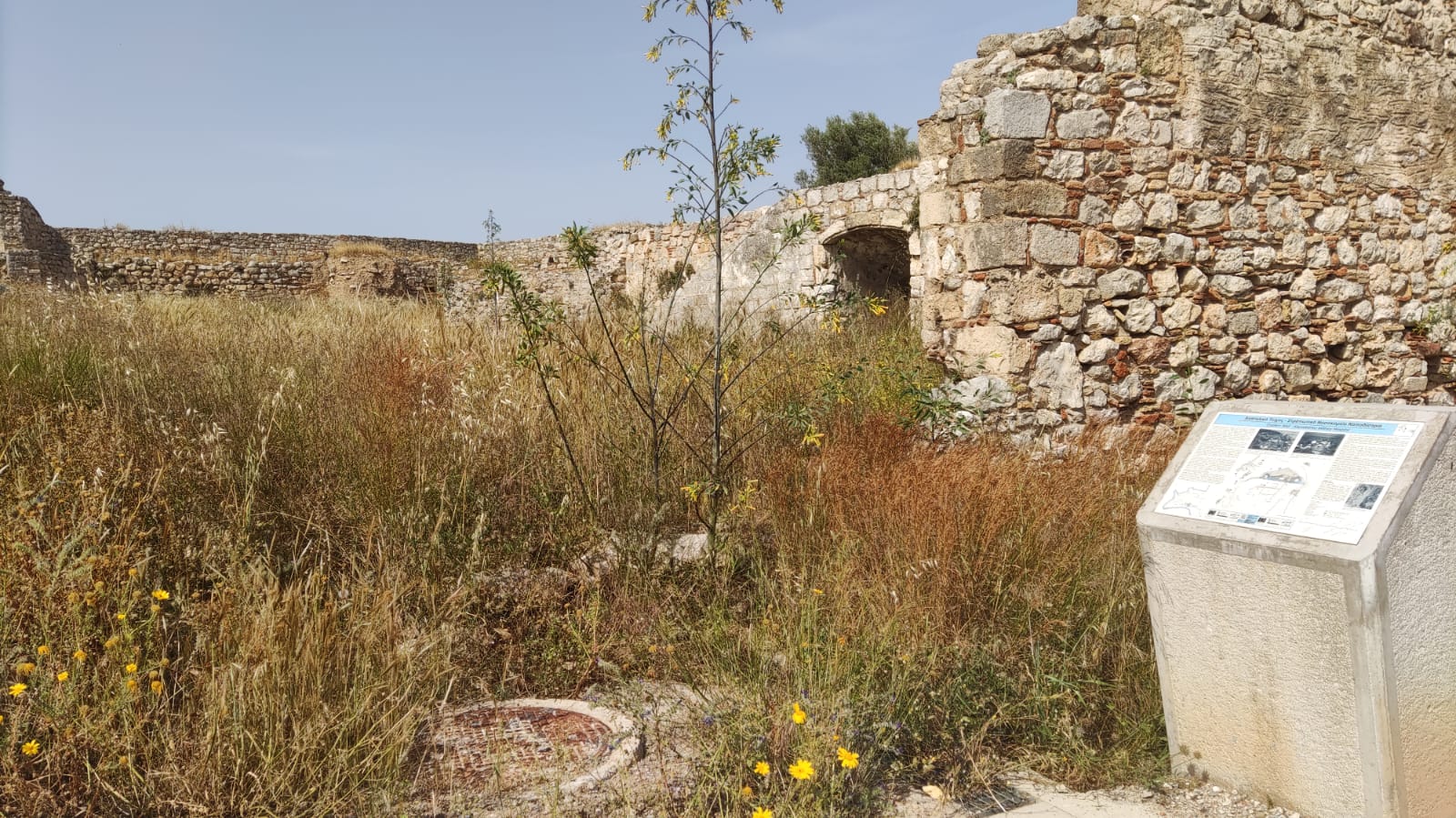 Ναύπλιο: Χορτάριασαν τα μνημεία