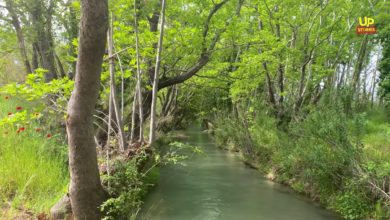 Τα ομορφότερα 1.000 μέτρα της Αττικής (2)