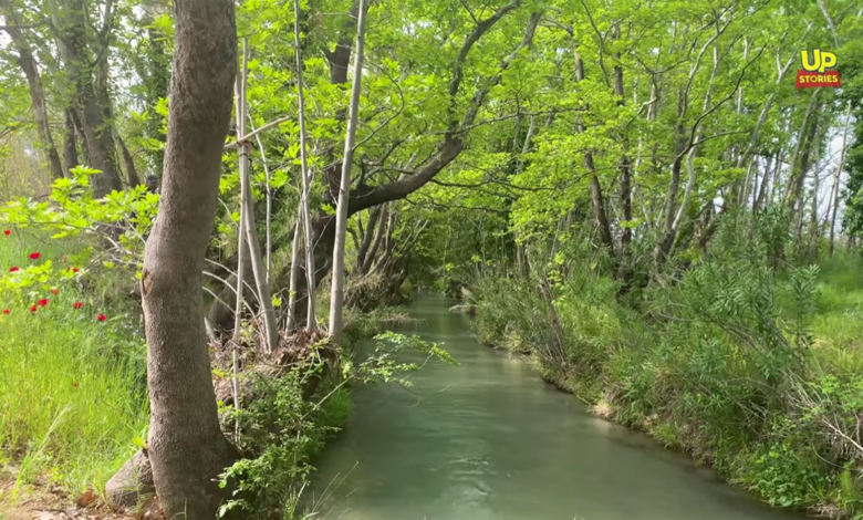 Τα ομορφότερα 1.000 μέτρα της Αττικής (2)