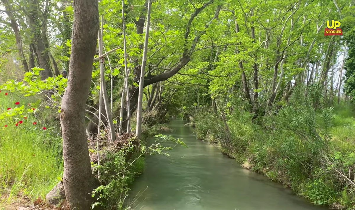 Τα ομορφότερα 1.000 μέτρα της Αττικής (2)