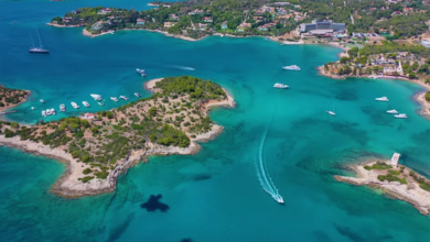 Χηνίτσα