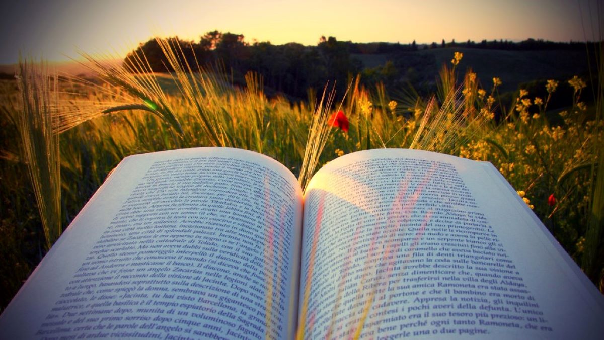 Όταν διαβάζεις βιβλία βρίσκεις πιο εύκολα τη θέση σου στη ζωή – Το 35% δεν διαβάζει κανένα βιβλίο