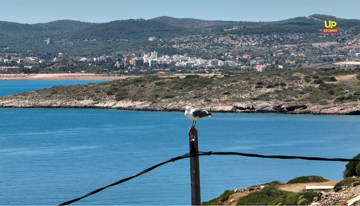 Ένας γλάρος, ένας φάρος και το απέραντο Ελληνικό γαλάζιο (Βίντεο)