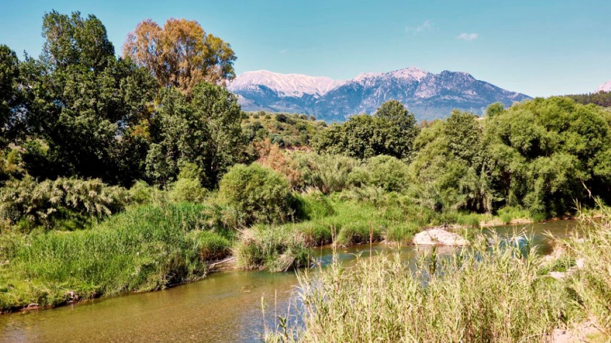 Κρίσιμα θέματα από το Πράσινο & Μωβ για τη Λακωνία