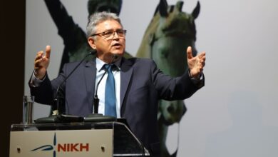 Νάτσιος κόμμα Νίκη