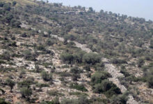 Το Τείχος του Δέματος (2)