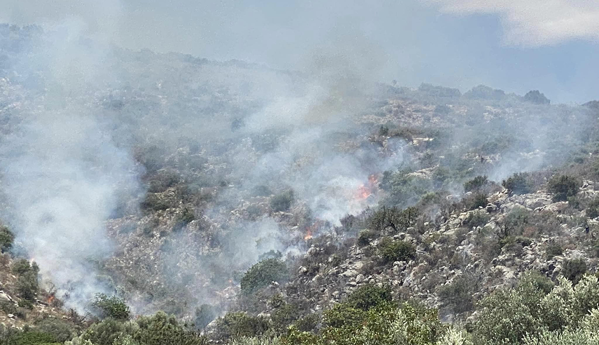 Συναγερμός για μεγάλη φωτιά στα Ίρια – Επίγειες και εναέριες δυνάμεις κατάφεραν να την περιορίσουν