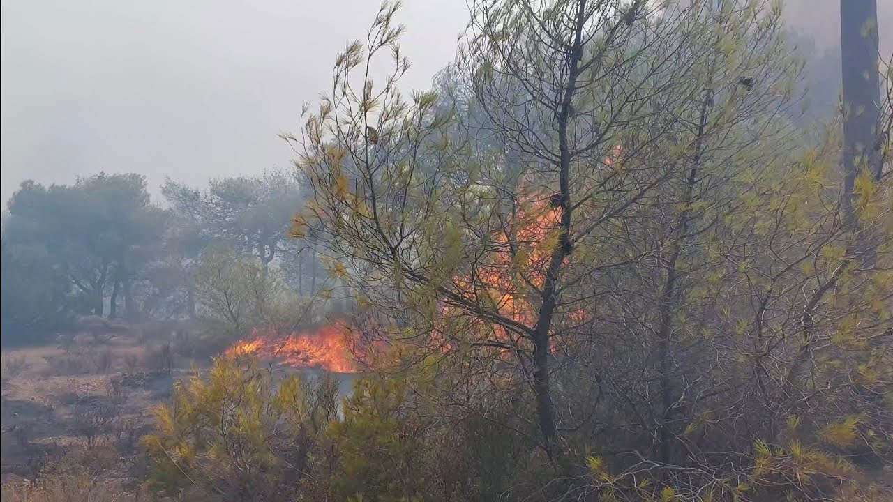 Φωτιά στο Λουτράκι