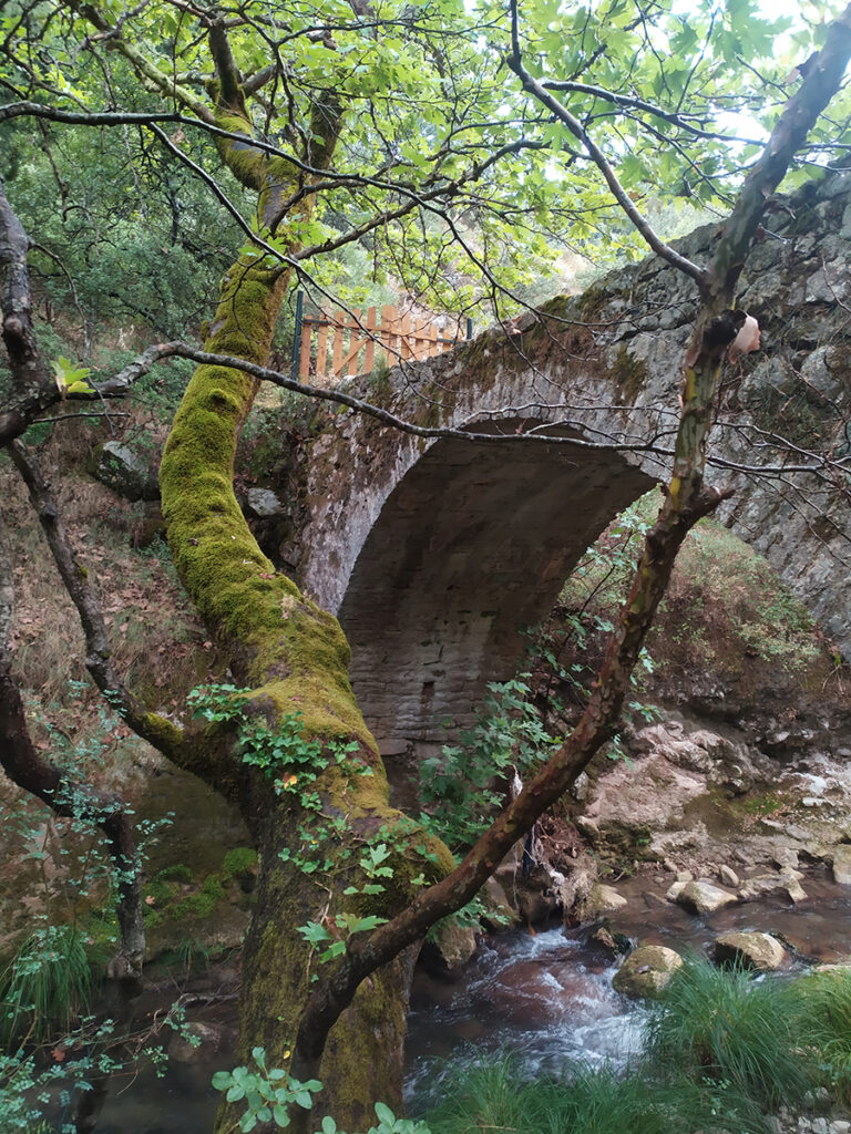 Χρυσοπηγή Σποδιάνα Αχαΐας (1)