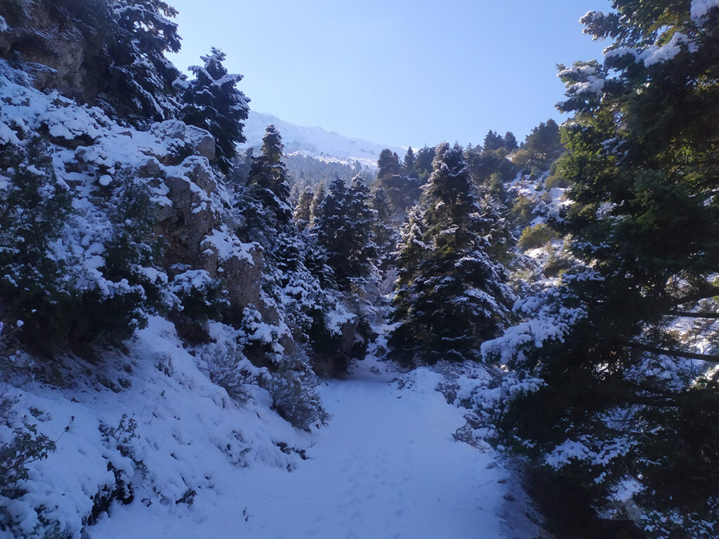 Χρυσοπηγή Σποδιάνα Αχαΐας (14)