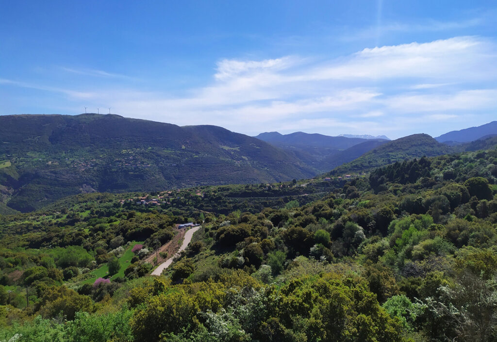 Χρυσοπηγή Σποδιάνα Αχαΐας (5)