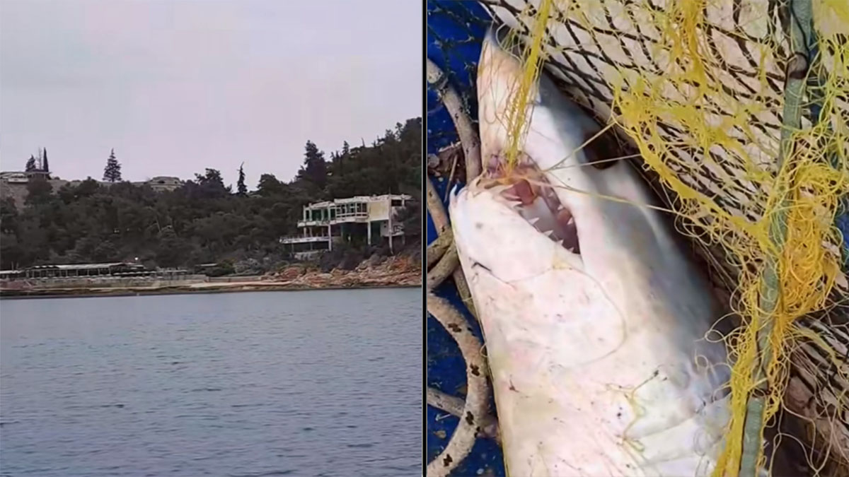 Ναύπλιο: Καθησυχάζει τους λουόμενους ο υπολιμενάρχης για τον καρχαρία στην Αρβανιτιά