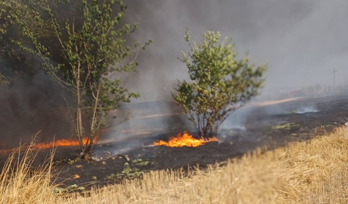 Άρια Ναυπλίου: Δεύτερη φωτιά στο ίδιο σημείο μέσα σε λίγες μέρες