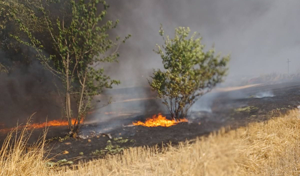 Ισχυρή κινητοποίηση για φωτιά ανάμεσα σε Άργος και Νέα Κίο